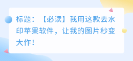 去水印苹果软件