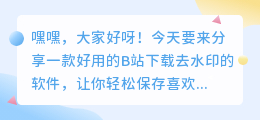 B站下载去水印