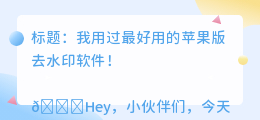 苹果版去水印软件