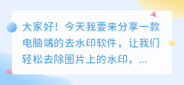 电脑端去水印软件免费下载