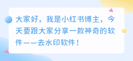 去水印的软件