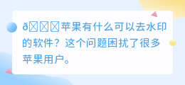 苹果有什么可以去水印的软件