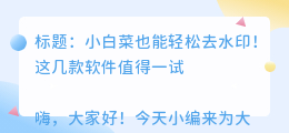 去水印的软件哪个好