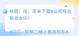 b站下载的如何去水印