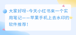 苹果手机什么软件去水印好