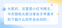 苹果手机下载什么软件去水印