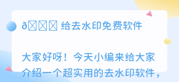 给去水印免费软件