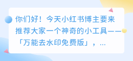 万能去水印免费版