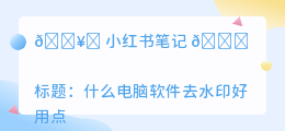 什么电脑软件去水印好用点