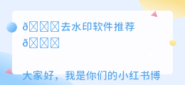 去水印软件推荐