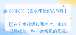 去水印最好的软件