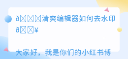 清爽编辑器如何去水印
