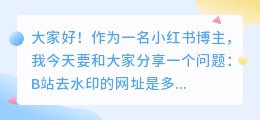 b站去水印网址是多少