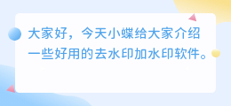 去水印加水印软件