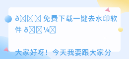 免费下载一键去水印软件