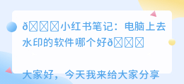 电脑上去水印的软件哪个好