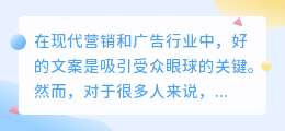 提取文中的文案