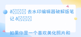 去水印编辑器破解版