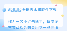 全能去水印软件下载