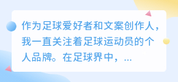 名宿元素提取文案