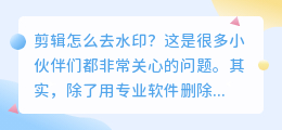 剪辑怎么去水印