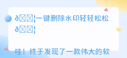 全能去水印破解版