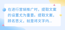 怎么设置提取文案