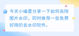 去水印的软件哪个好用免费的软件