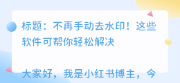 去水印的软件下载