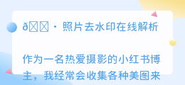 照片去水印在线解析