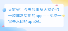 免费一键去水印的app26