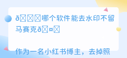 哪个软件能去水印不留马赛克