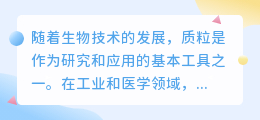 质粒提取文字文案