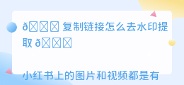 复制链接怎么去水印提取