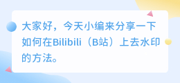 b站 去水印