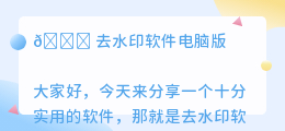 去水印软件电脑版