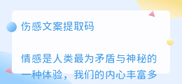 伤感文案提取码