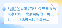 飞狐去水印下载器