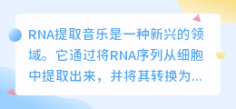 RNA提取音乐文案