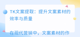 tk文案提取