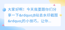 b站去水印截图
