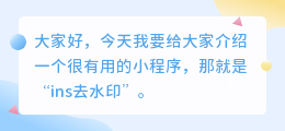 ins去水印小程序