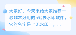 b站去水印软件