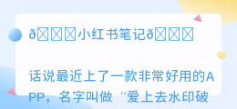 爱上去水印破解版