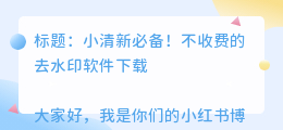不收费的去水印软件下载