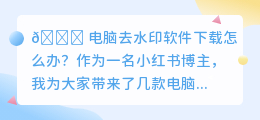 电脑去水印软件下载