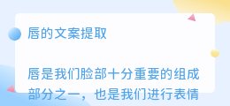 唇的文案提取