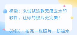 本地无痕去水印软件