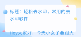 常用的去水印软件