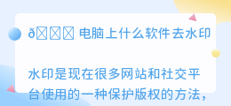 电脑上什么软件去水印